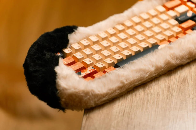 Dry Studio PETBRICK 65