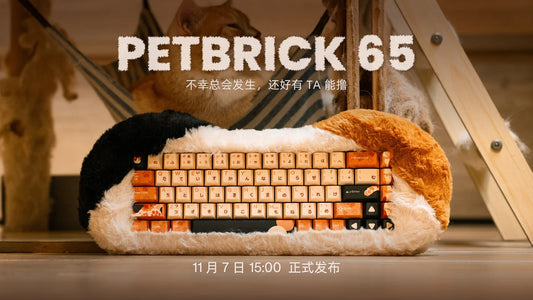 Dry Studio PETBRICK 65